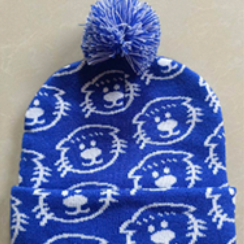 Patterned Ollie beanie Main Image